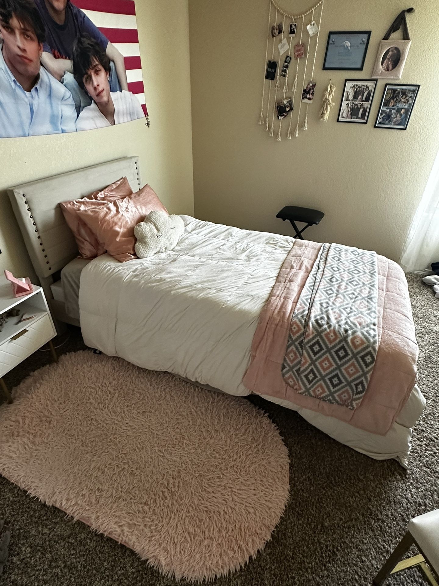 Twin Bed frame, Box Spring & Mattress