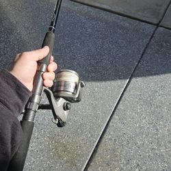 Daiwa Spinning Reel And Rod For Sale