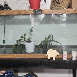 125 Gallon TANK : 2 Of Them. One With The Stand 