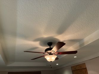 Ceiling Fan with lights