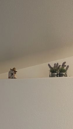 Misc decor
