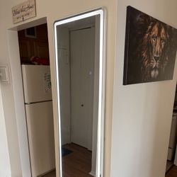 LED Mirror FULL LENGTH!