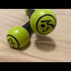 Zumba Shake Weights