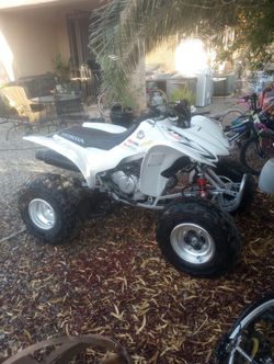 Honda TRX 300