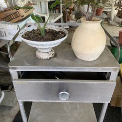 Metal Shelf With Drawer, Jade Plant And Alocasia Cucullata 