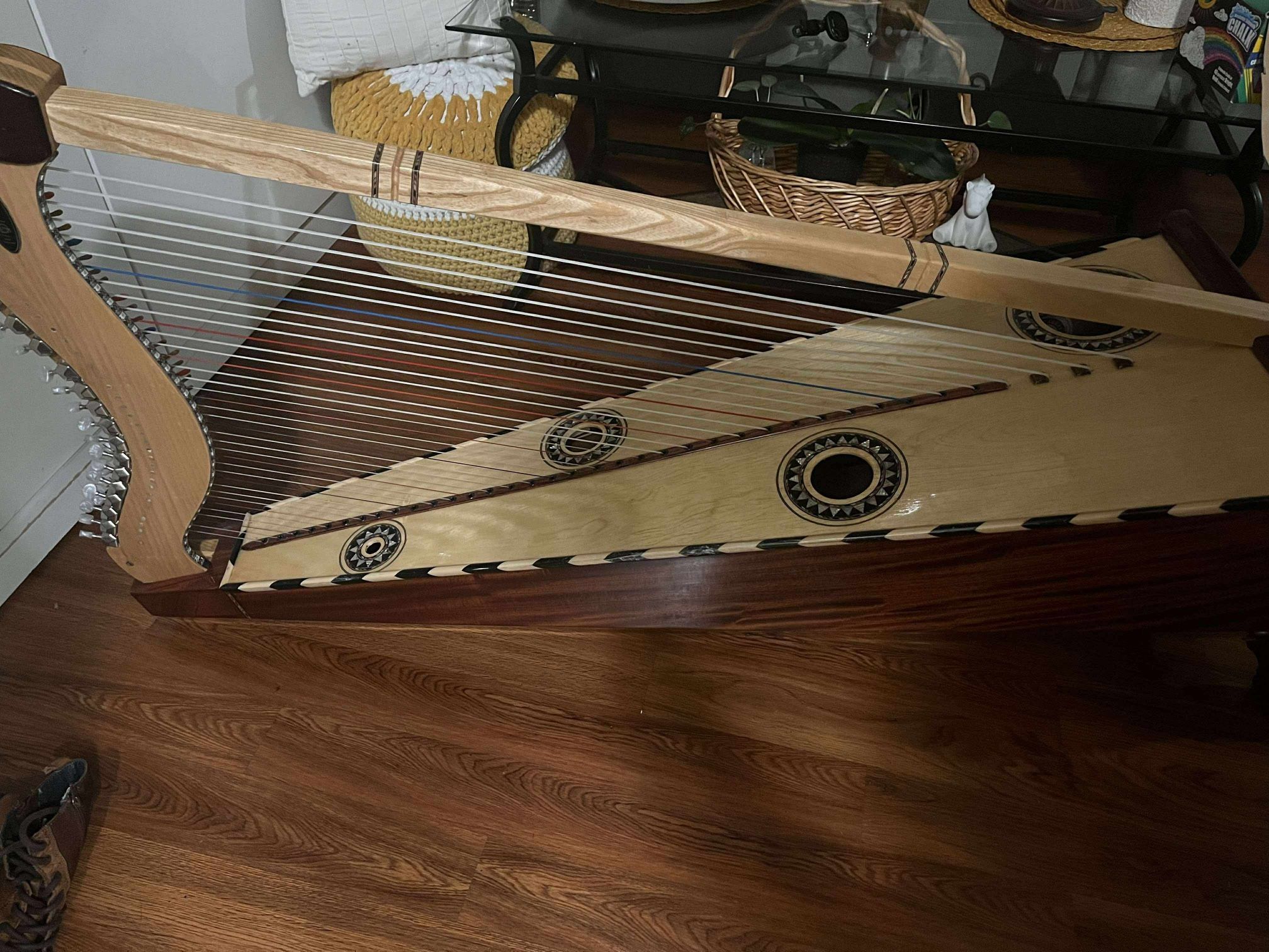 Arpa Jalisciense/Jalisco Harp