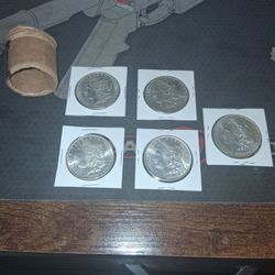Morgan silver dollar lot BU/AU