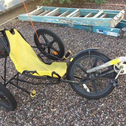 Adult Recumbent Trike 
