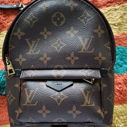 Real Louis Vuitton BackPack