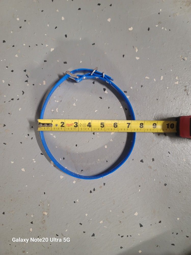 3/4in Dog Collar