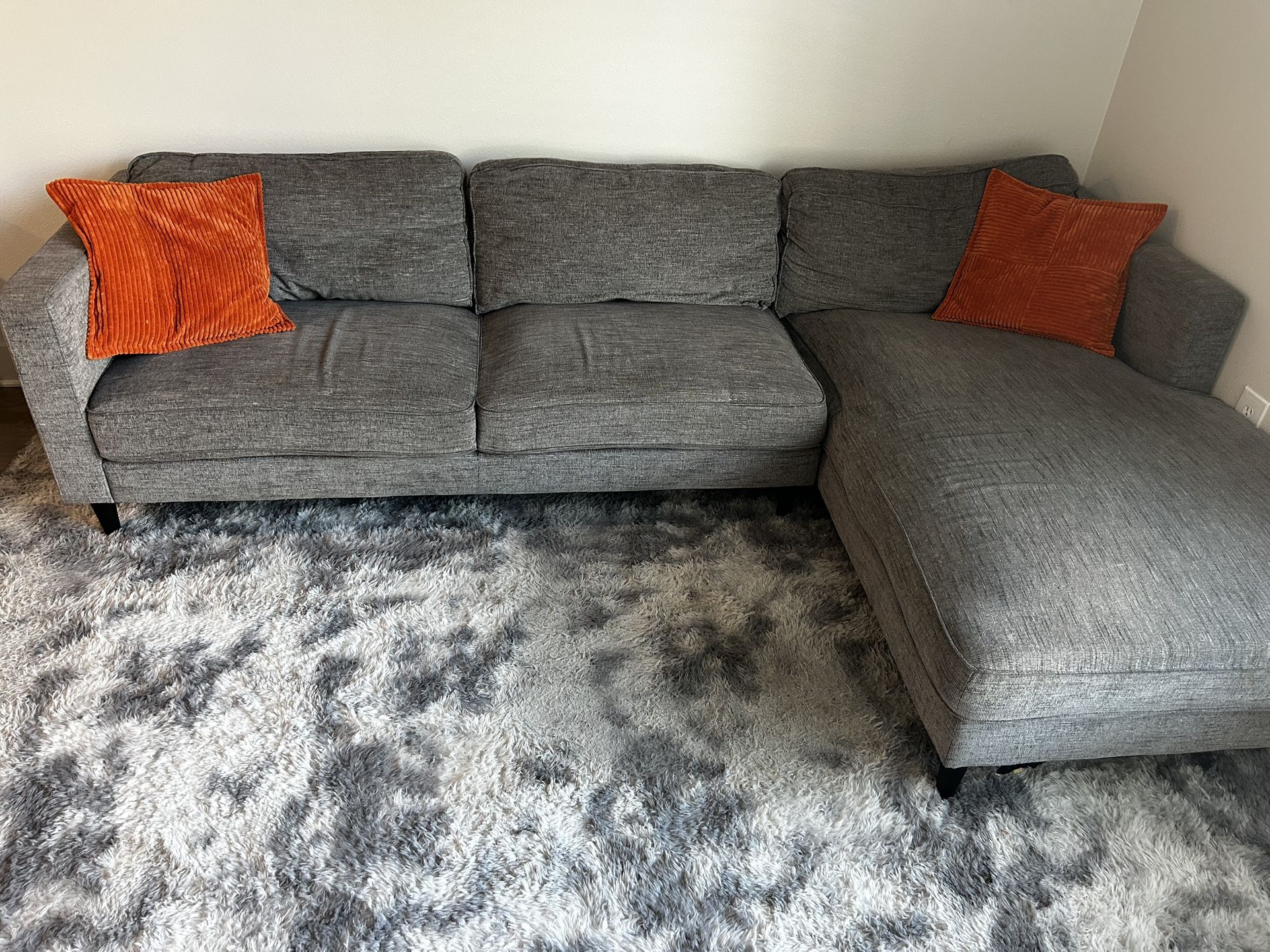 Sectional Couch + Rug