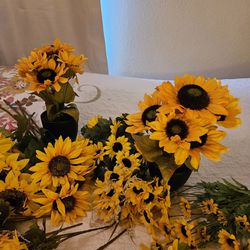 Large Lot Of Sunflowers