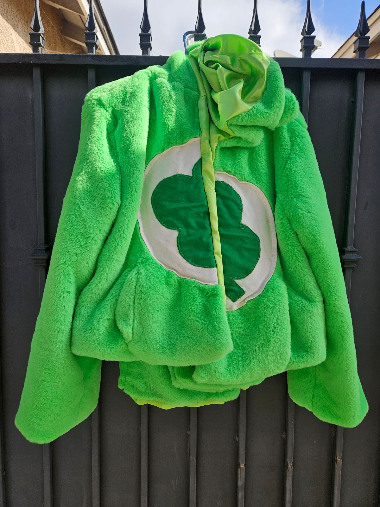 Care Bear costume