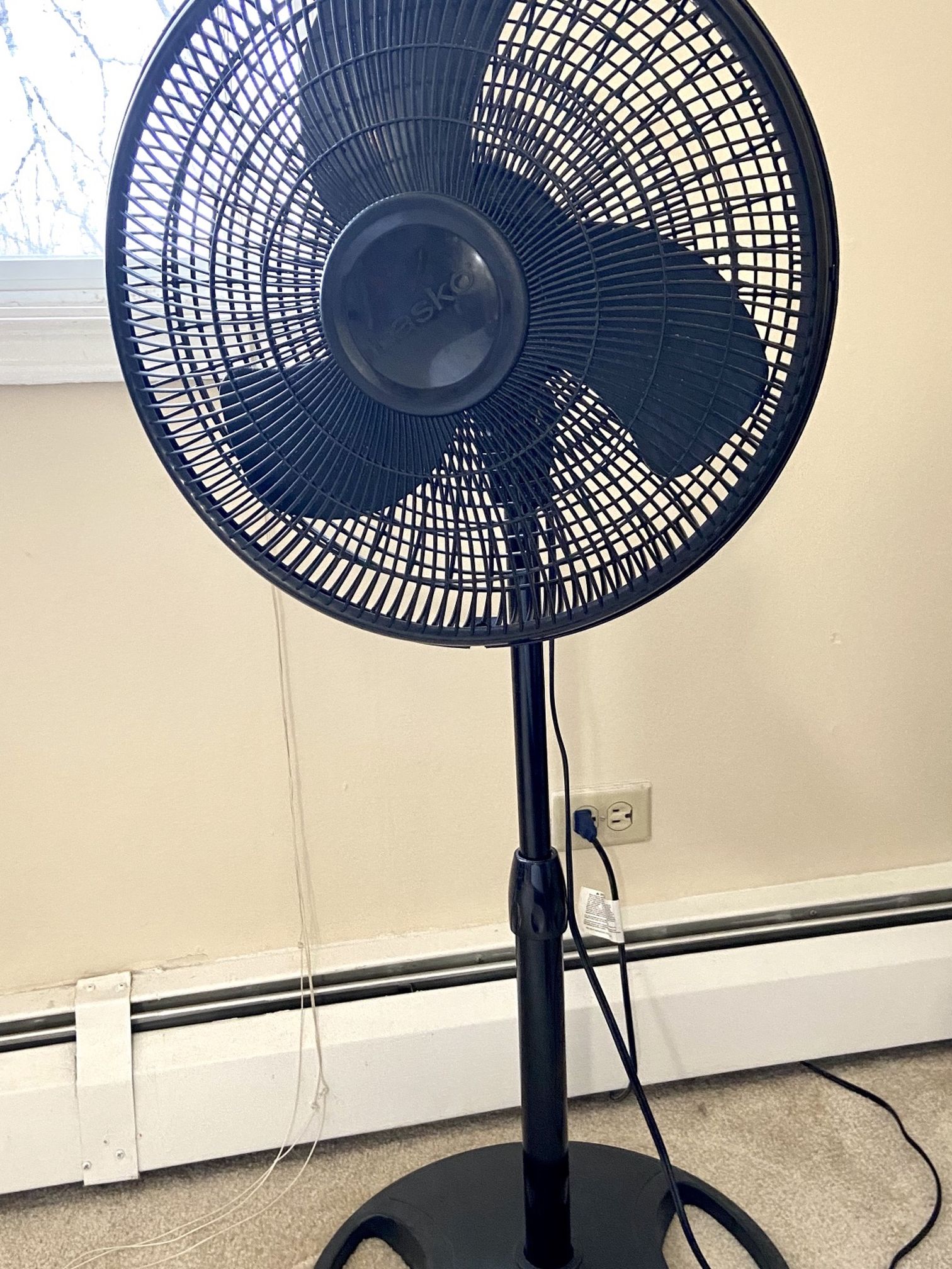 Standing Fan