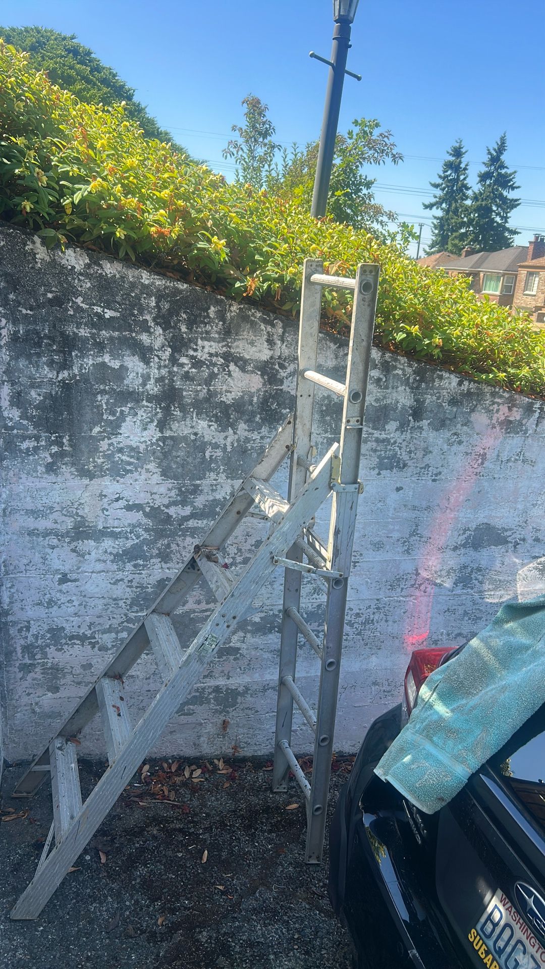Ladder