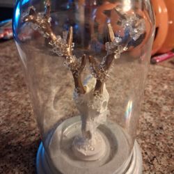 Ashland Antler Dome Display