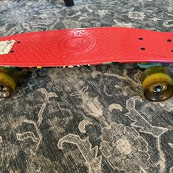 Penny Board / Skateboard 
