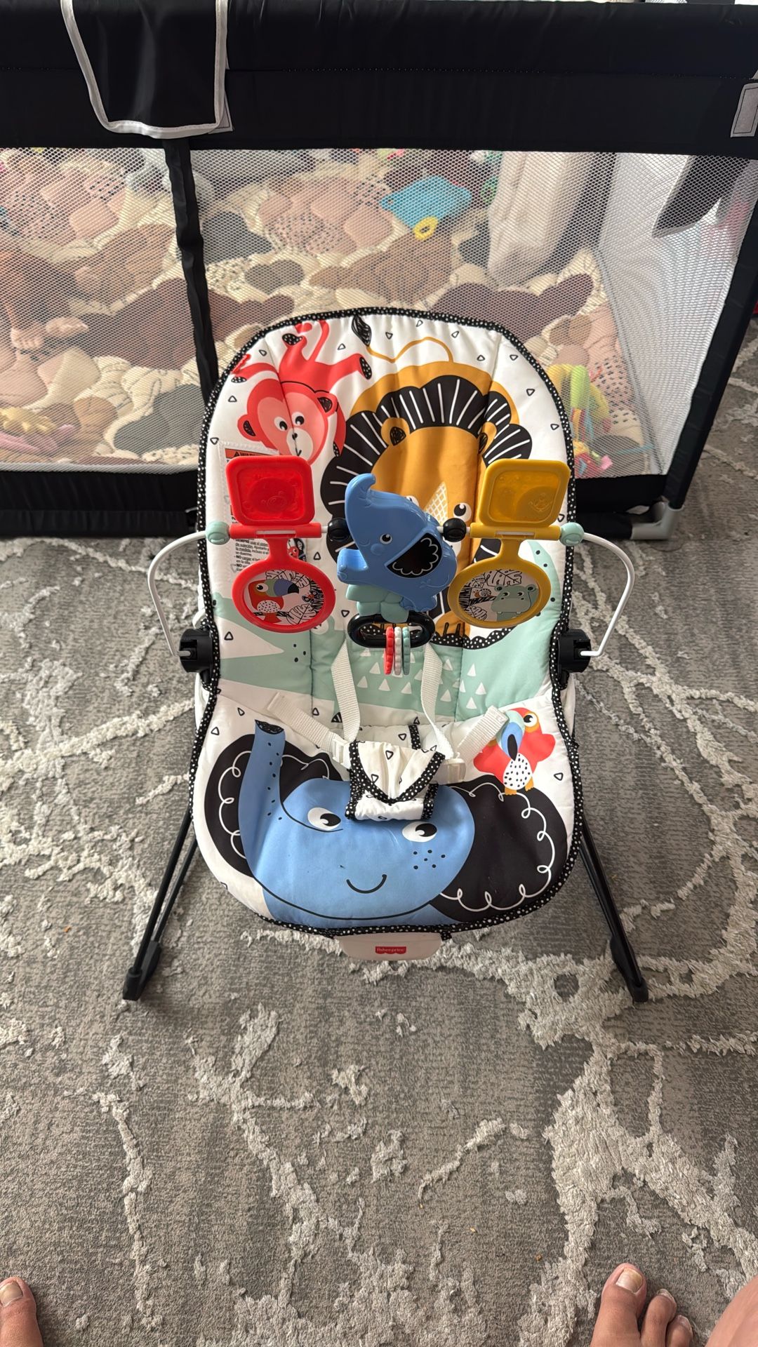 Baby Bouncer