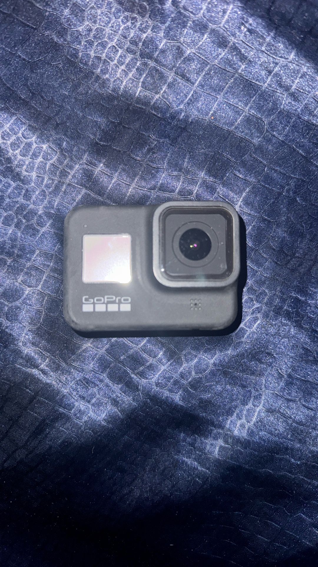 Go Pro