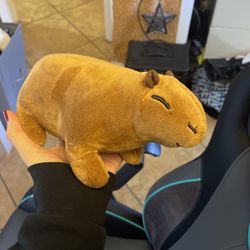 cute capybara plushy