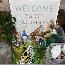 Animal Theme Party Supplies 