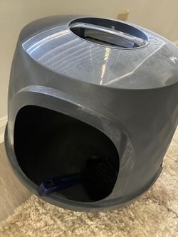 Cat litter