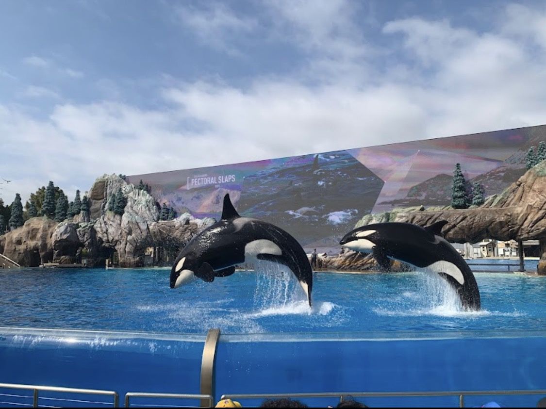 Seaworld San Diego Tickets Expires On Oct 26th