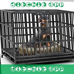 when something Heavy-Duty Pet Cages - Security and Comfort for Your Animal Buddy