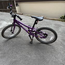 REI REV 20 Kids bike