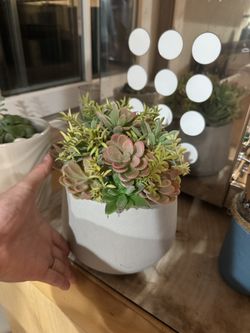 Artificial plant - desk deco