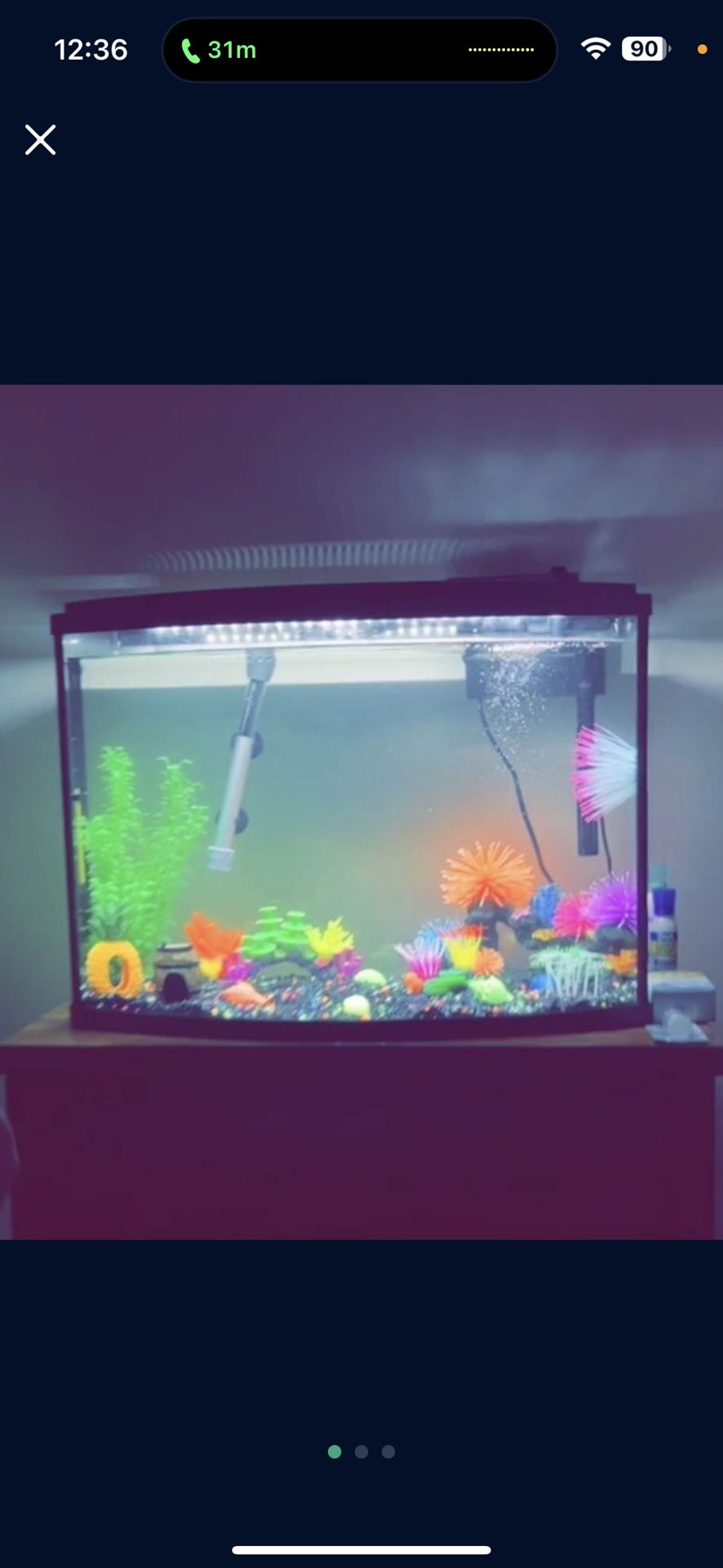 Fish Tank And Accessories 