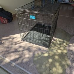 Big Dog Crate 