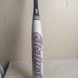TPS Catalyst Youth Fastpitch Softball Bat, 31/18.5