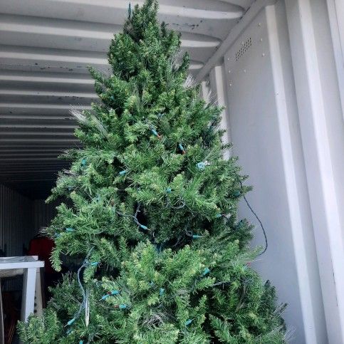 Tree 7 Foot