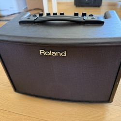 Roland AC-33 Acoustic Guitar Amp