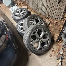 Ford Focus Tires