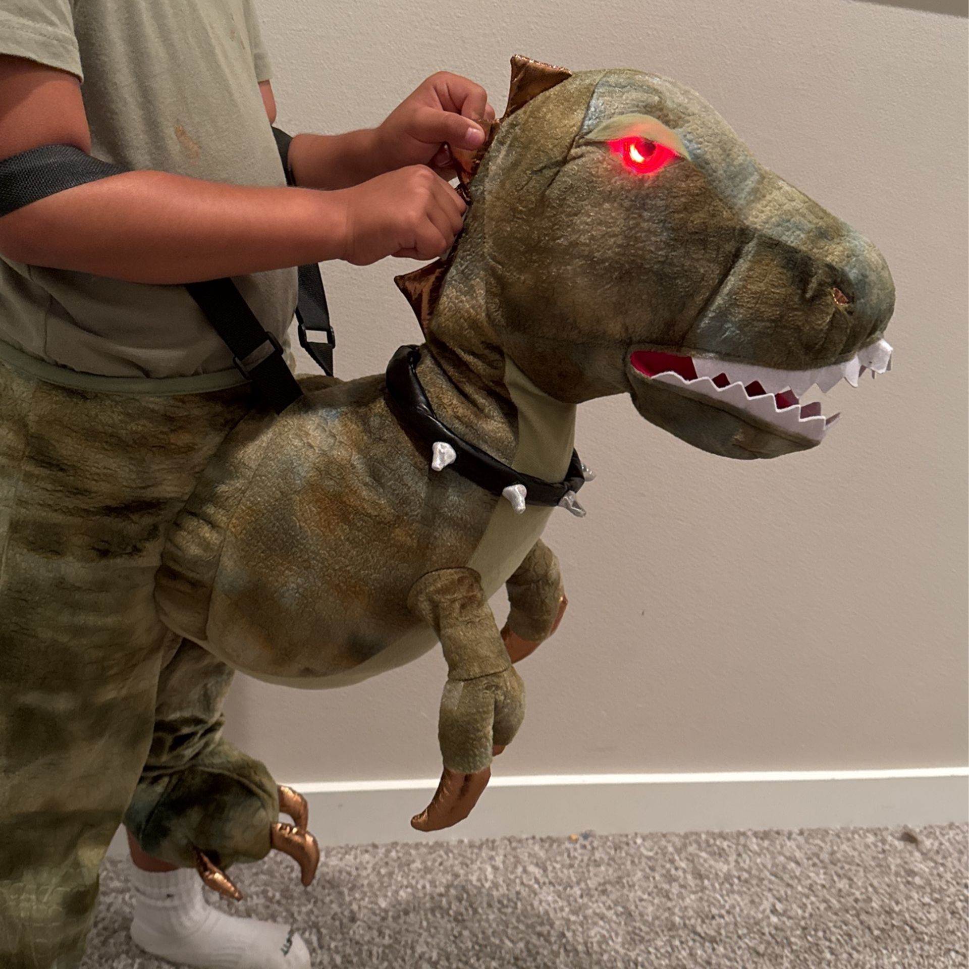 Dinosaur Costume