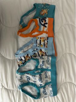 Bluey Briefs Size 6