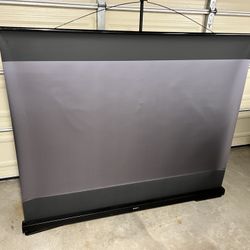 Giant Projector Screen By Sony 