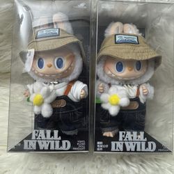 Fall In Wild