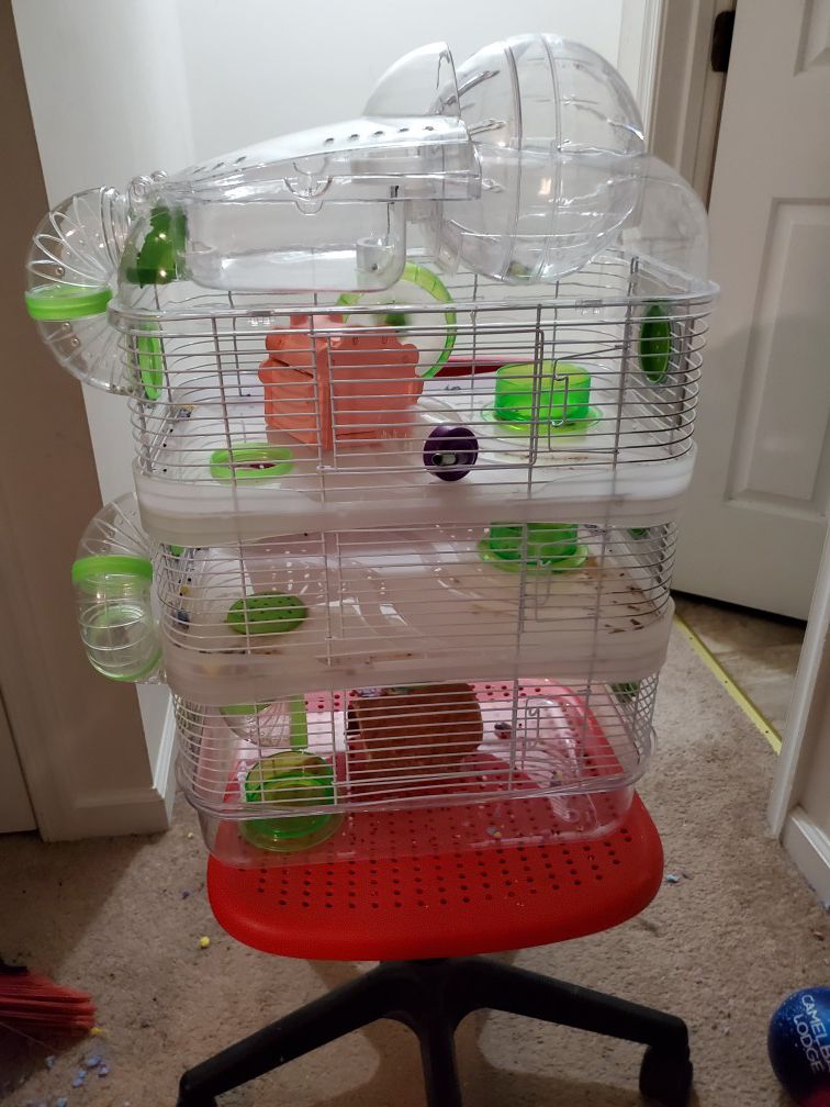 3 story hamster cage