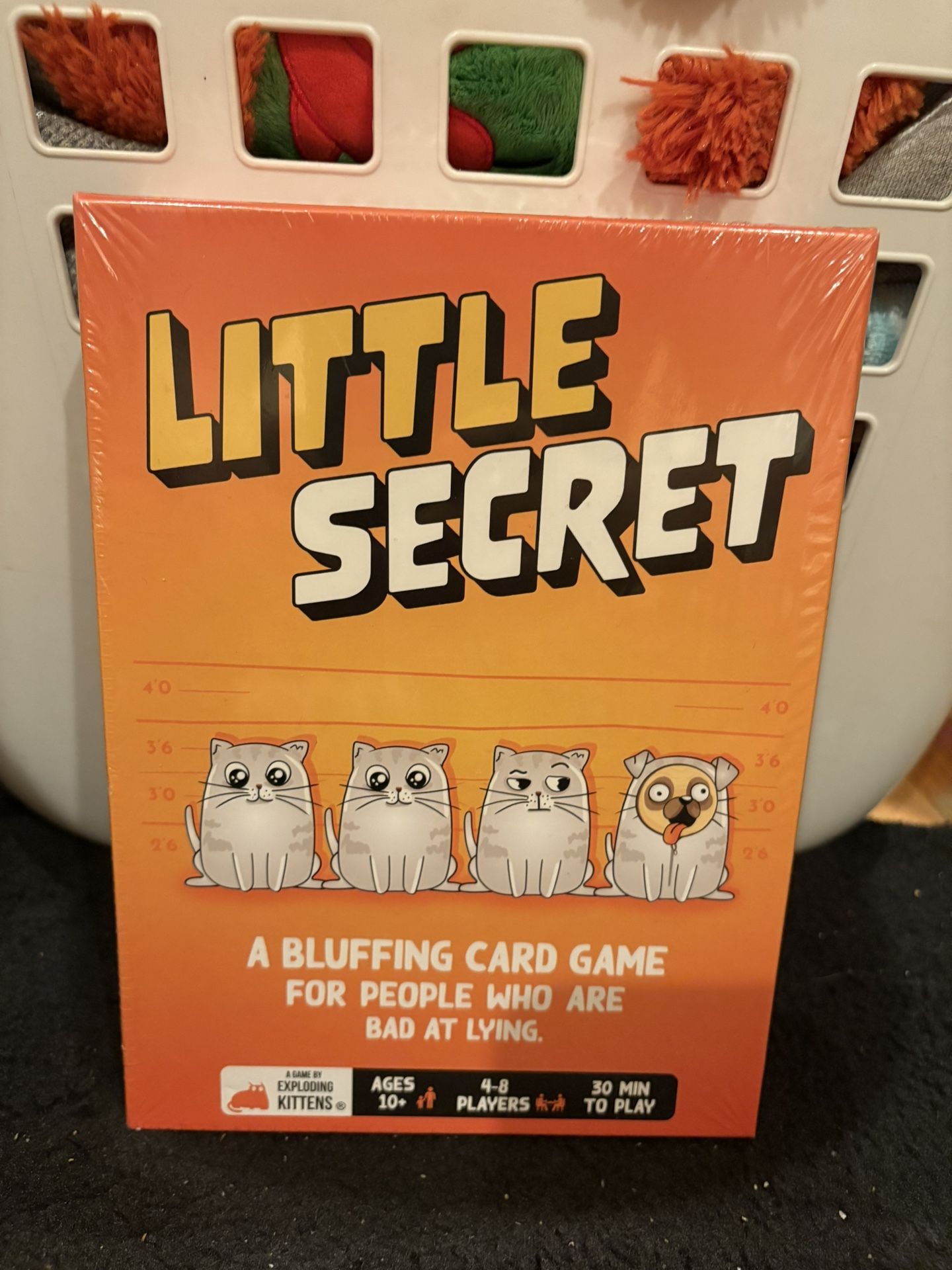 Little Secret
