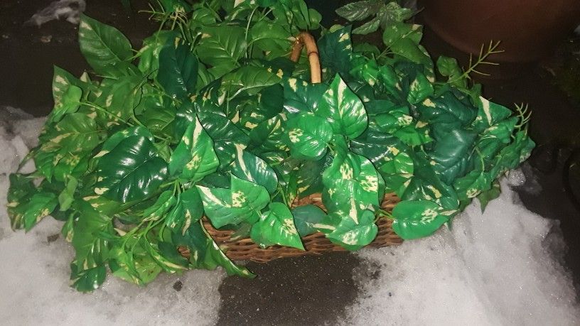 Fake Plant