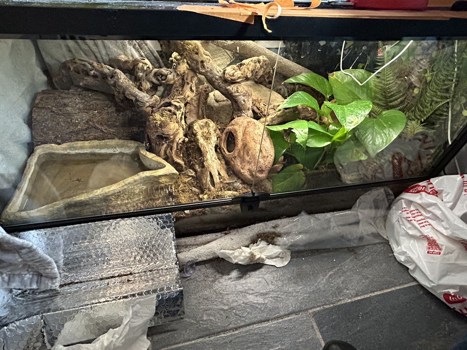 50 Gallon Bioactive Ball Python Terrarium