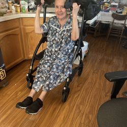 UpWalker Standard Upright Walker Rollator With Seat And Brakes H200   