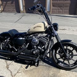 2020 Sporster 883 Harley Davidson 