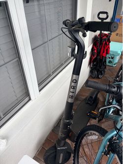 Bird Electric Scooters