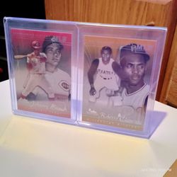 2005 Baseball Card Display