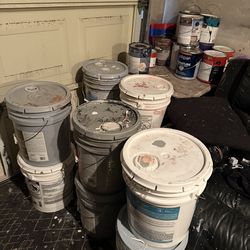 GALLON PAINTS $10 EACH