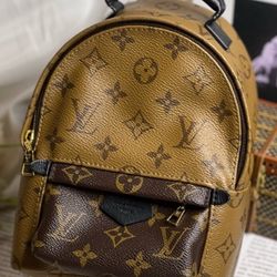 Louis Vuitton backpack